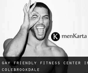 Gay Friendly Fitness Center in Colebrookdale