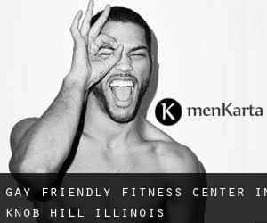 Gay Friendly Fitness Center in Knob Hill (Illinois)