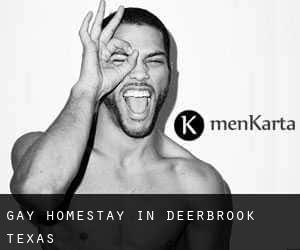 Gay Homestay in Deerbrook (Texas)