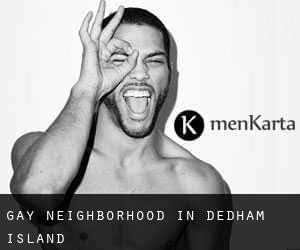 Gay Neighborhood in Dedham Island