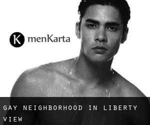 Gay Neighborhood in Liberty View
