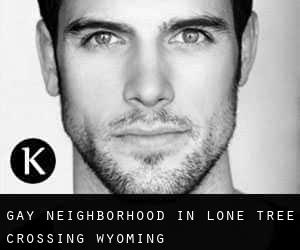 Gay Neighborhood in Lone Tree Crossing (Wyoming)