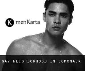 Gay Neighborhood in Somonauk