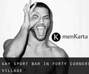 Gay Sport Bar in Forty Corners Village