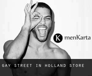 Gay Street in Holland Store