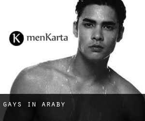 Gays in Araby