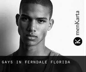 Gays in Ferndale (Florida)