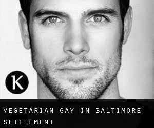 Vegetarian Gay in Baltimore Settlement