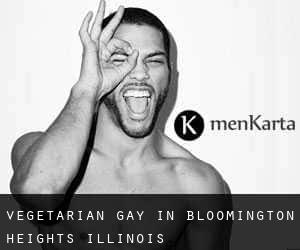 Vegetarian Gay in Bloomington Heights (Illinois)